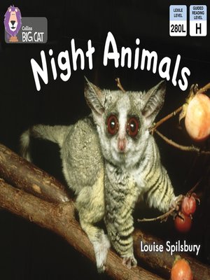 cover image of Collins Big Cat – Night Animals